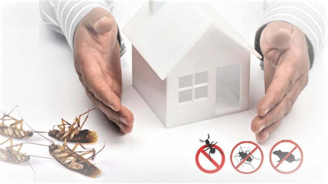 why-pest-control