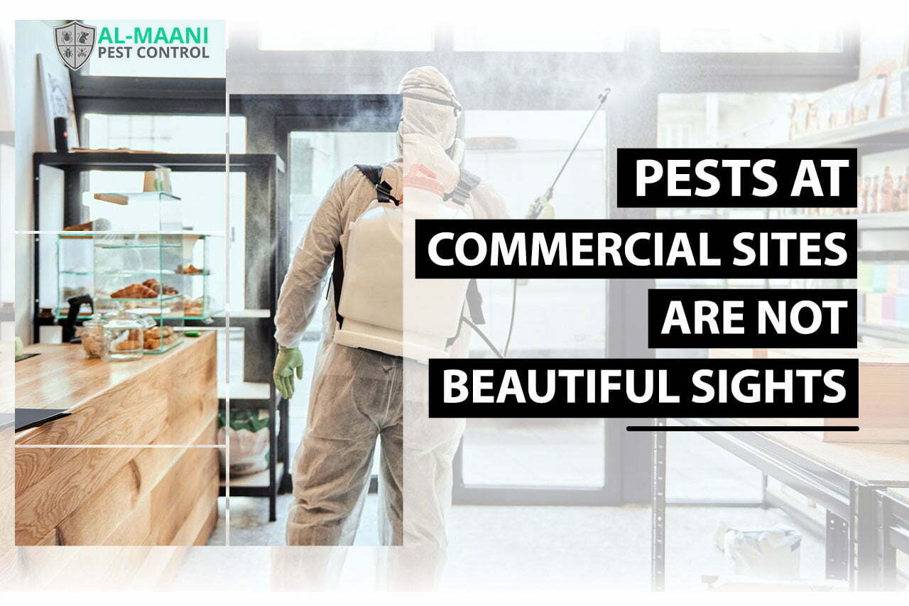 Commercial-Pest-Control-in-Melbourne