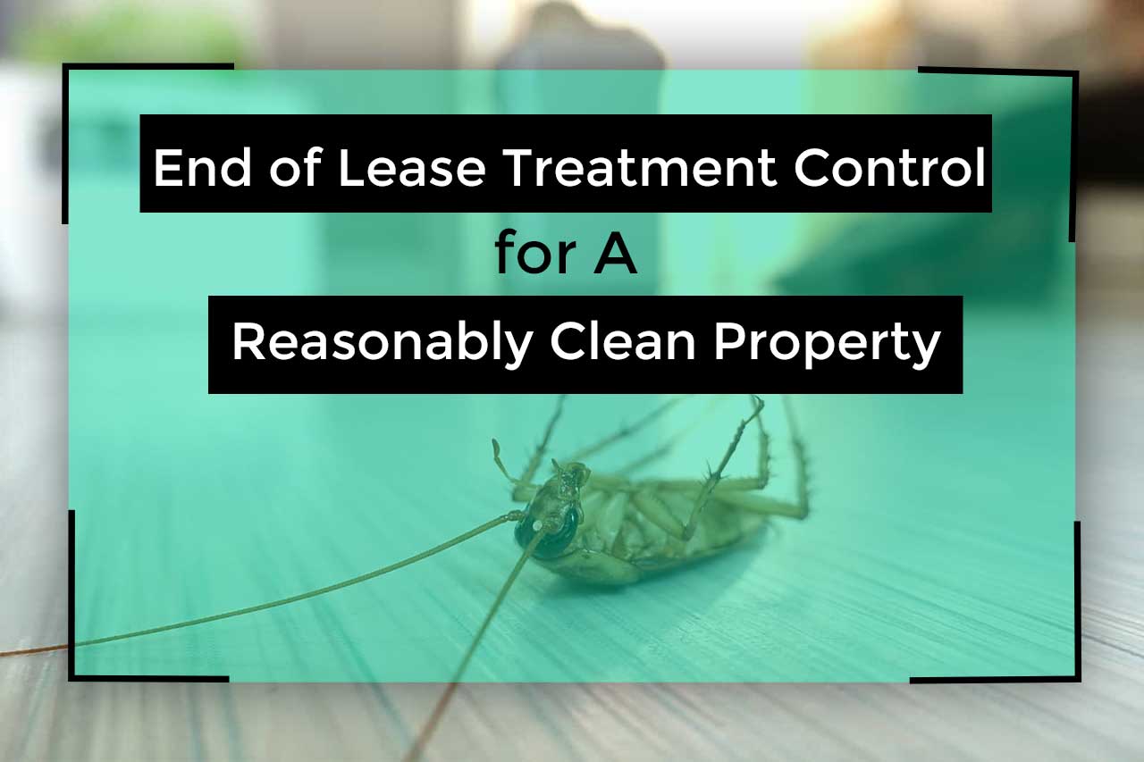 nd-of-lease-treatment-in-melbourne-almaani-pest-control