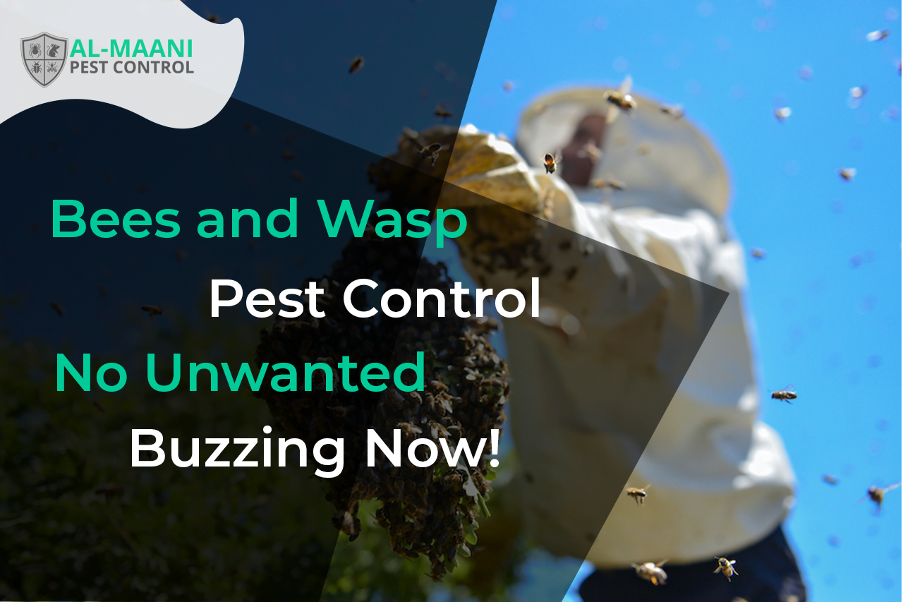 bees-waps-cover-almaani pest control