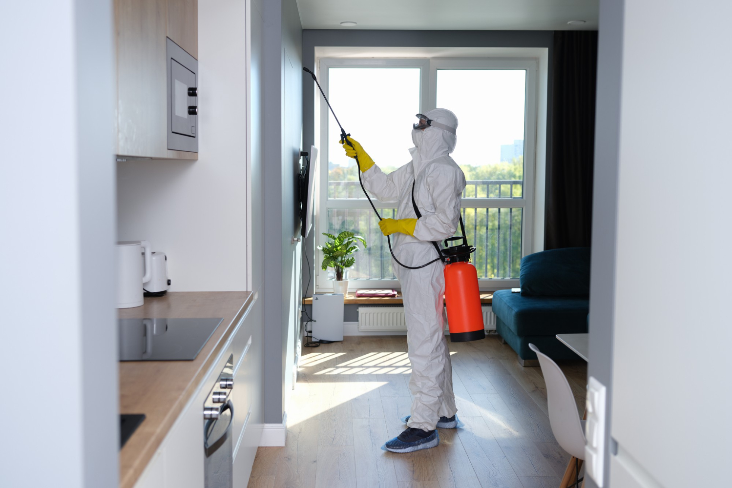 residential pest control